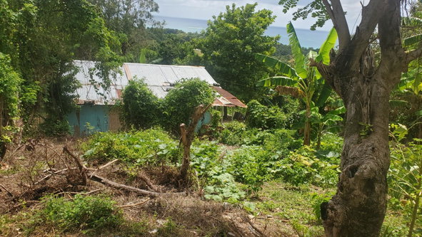 Thirteenth image of Lot 65 Part of Lyssons in Lyssons, St. Thomas, Jamaica - property is For Sale