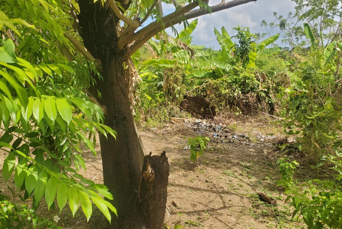 Fourteenth image of Lot 65 Part of Lyssons in Lyssons, St. Thomas, Jamaica - property is For Sale