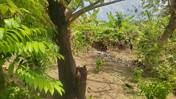 Fourteenth image of Lot 65 Part of Lyssons in Lyssons, St. Thomas, Jamaica - property is For Sale