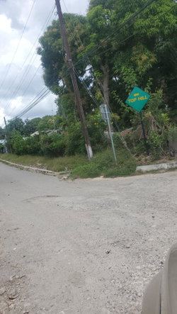 Fifteenth image of Lot 65 Part of Lyssons in Lyssons, St. Thomas, Jamaica - property is For Sale