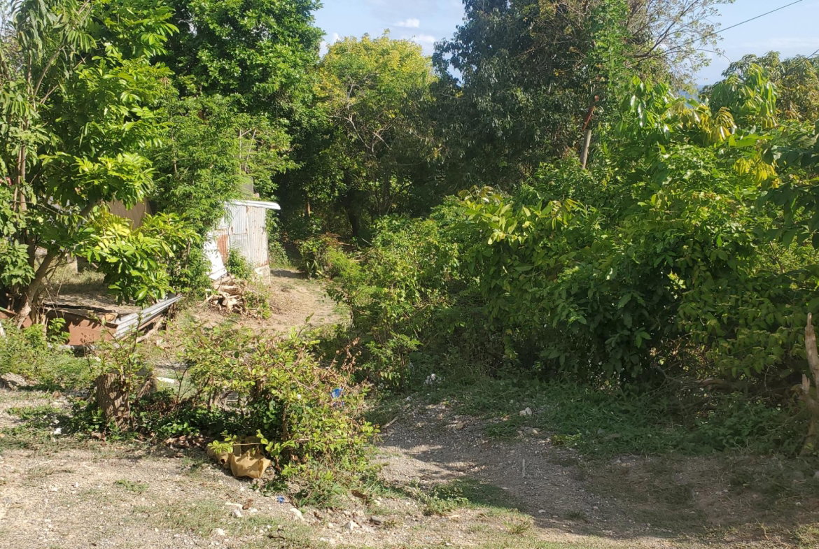 Sixteenth image of Lot 65 Part of Lyssons in Lyssons, St. Thomas, Jamaica - property is For Sale