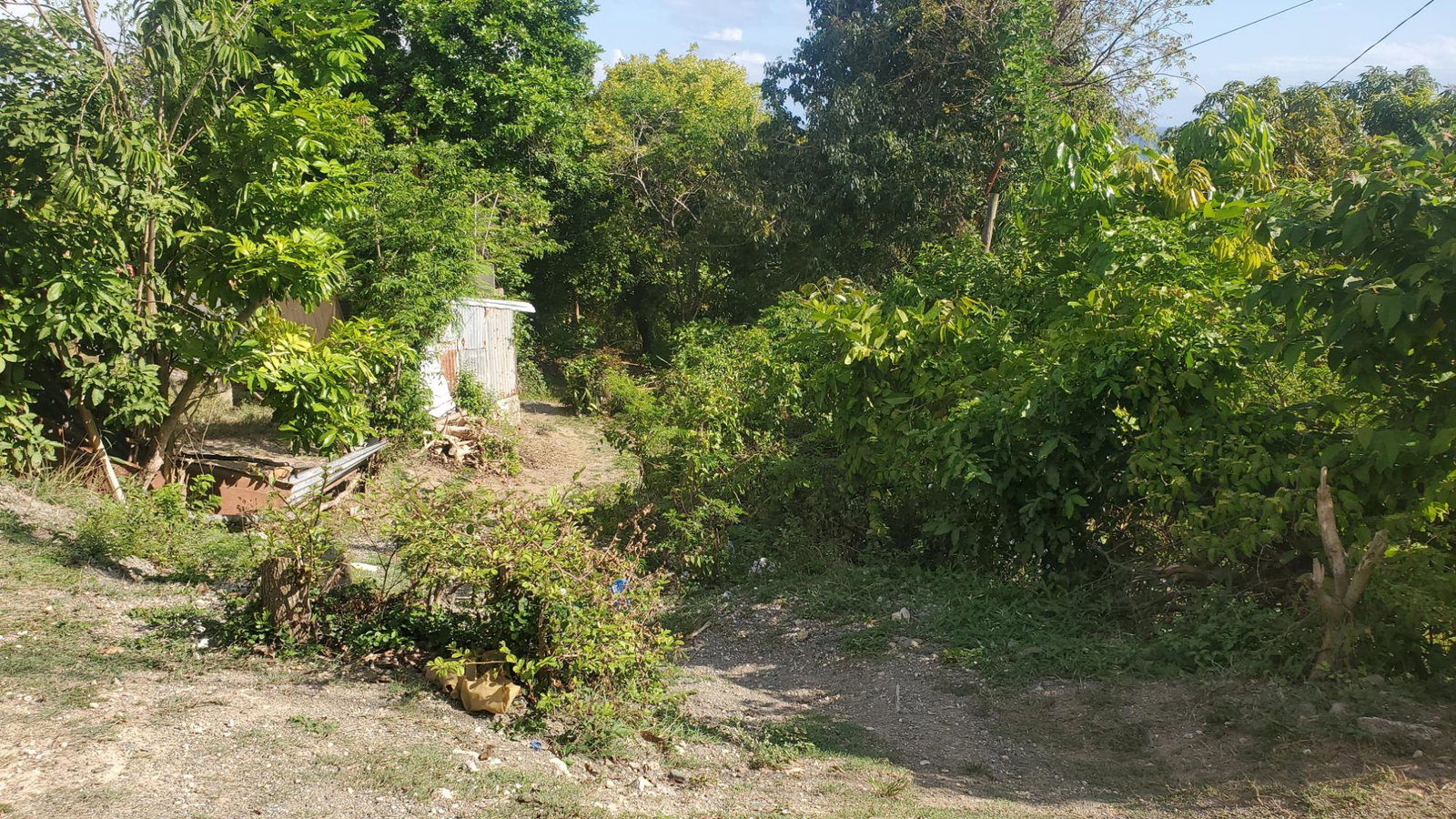 Sixteenth image of Lot 65 Part of Lyssons in Lyssons, St. Thomas, Jamaica - property is For Sale