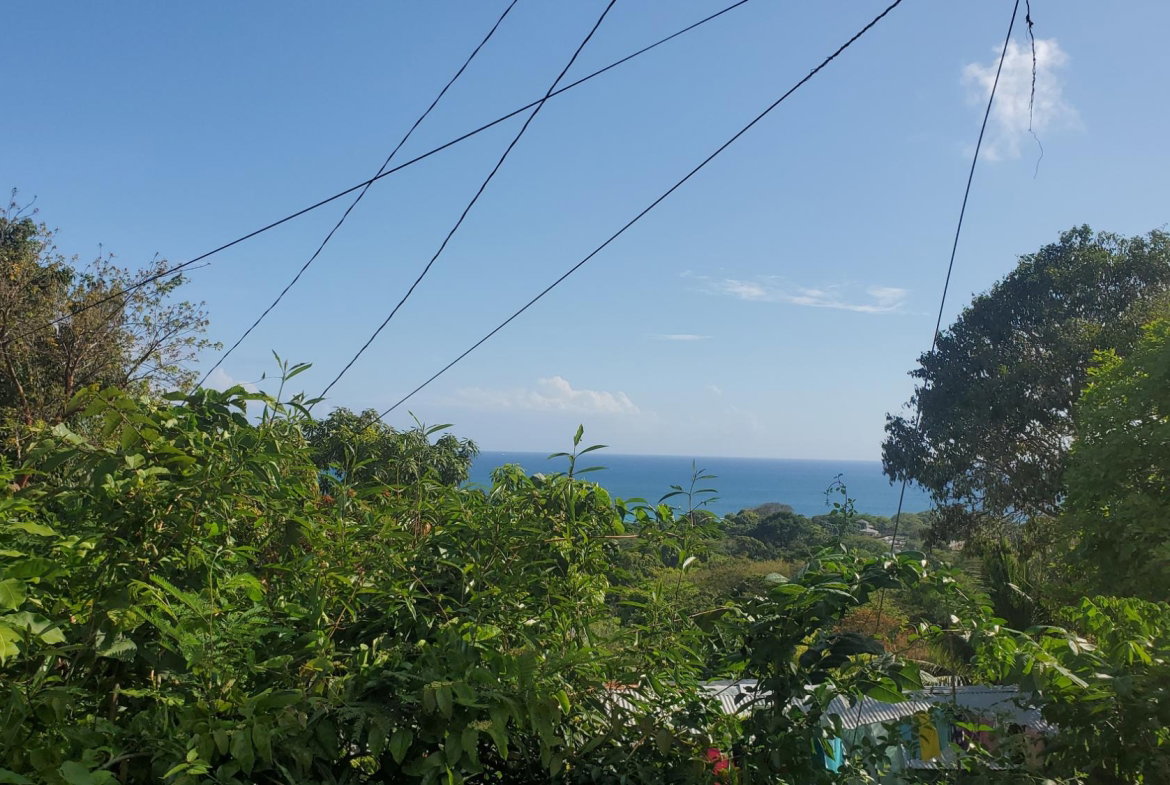 Seventeenth image of Lot 65 Part of Lyssons in Lyssons, St. Thomas, Jamaica - property is For Sale