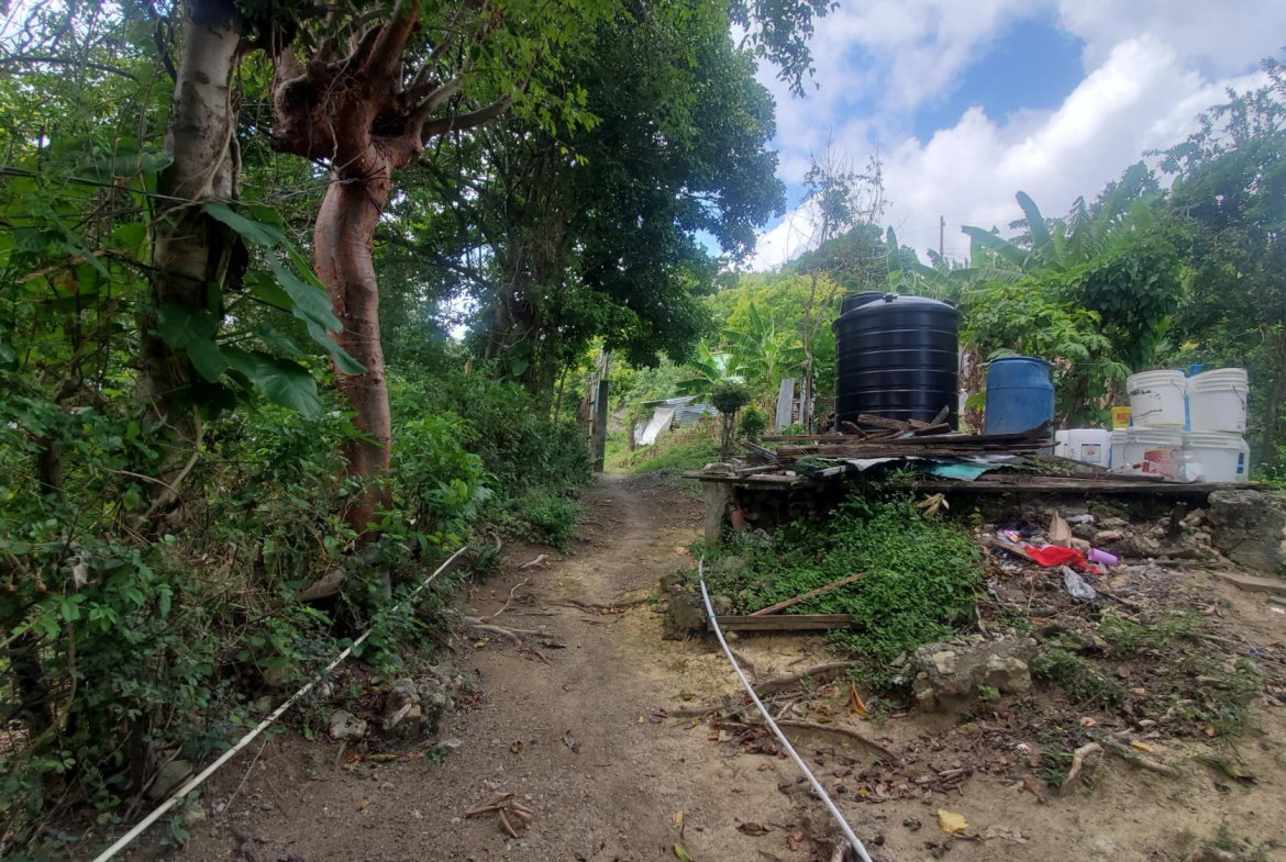 Ninth image of Lot 65 Part of Lyssons in Lyssons, St. Thomas, Jamaica - property is For Sale