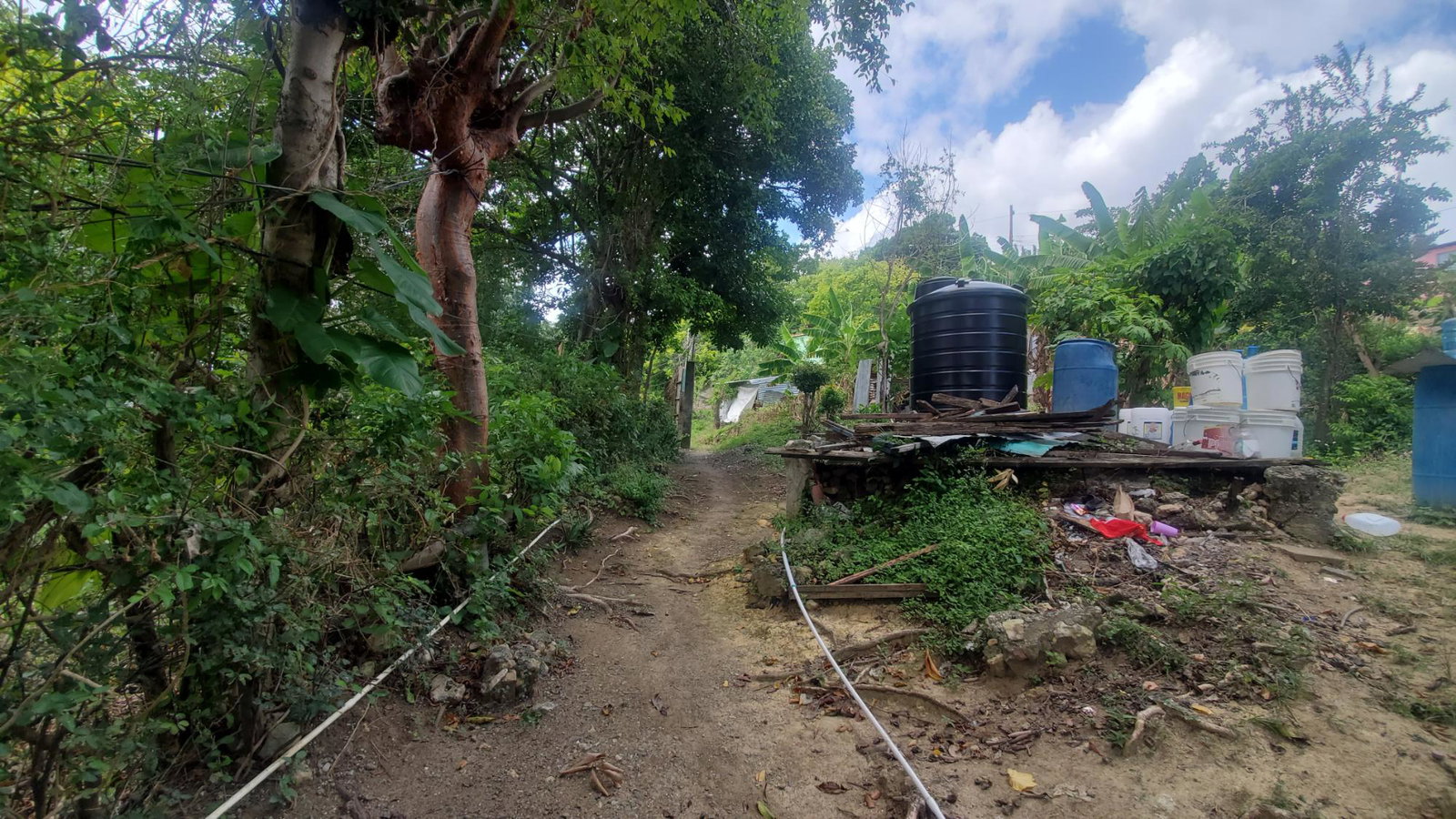 Ninth image of Lot 65 Part of Lyssons in Lyssons, St. Thomas, Jamaica - property is For Sale