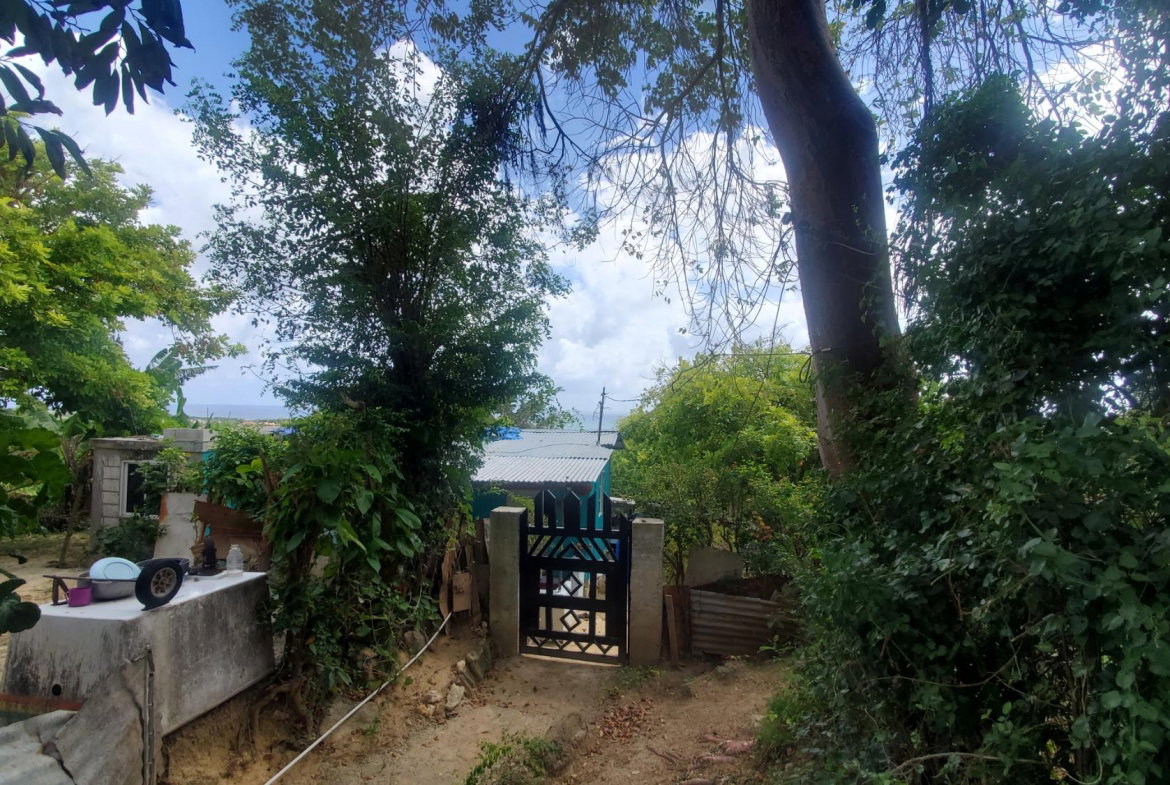 Tenth image of Lot 65 Part of Lyssons in Lyssons, St. Thomas, Jamaica - property is For Sale