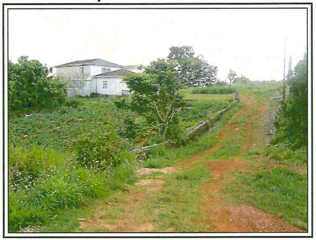 Fifth image of Upper Lincoln in Lincoln, Manchester, Jamaica - property is For Sale