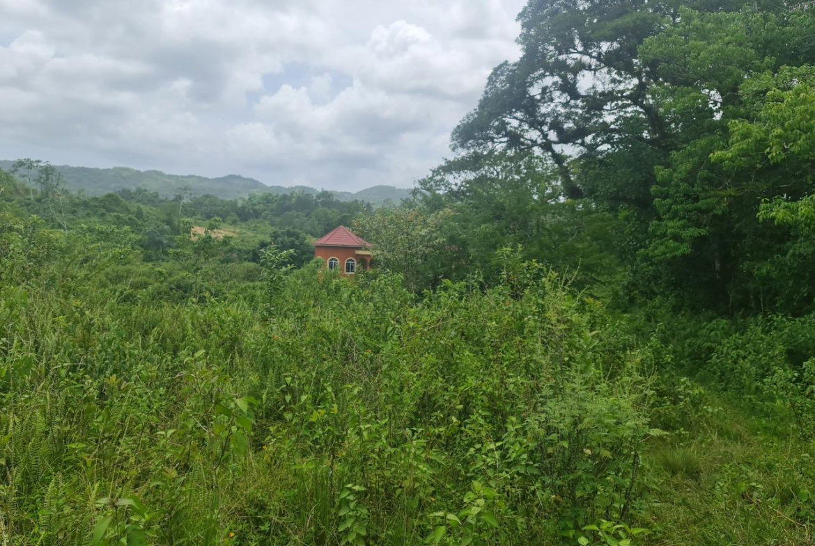 Twelfth image of Windsor Forrest in Darliston, Westmoreland, Jamaica - property is For Sale