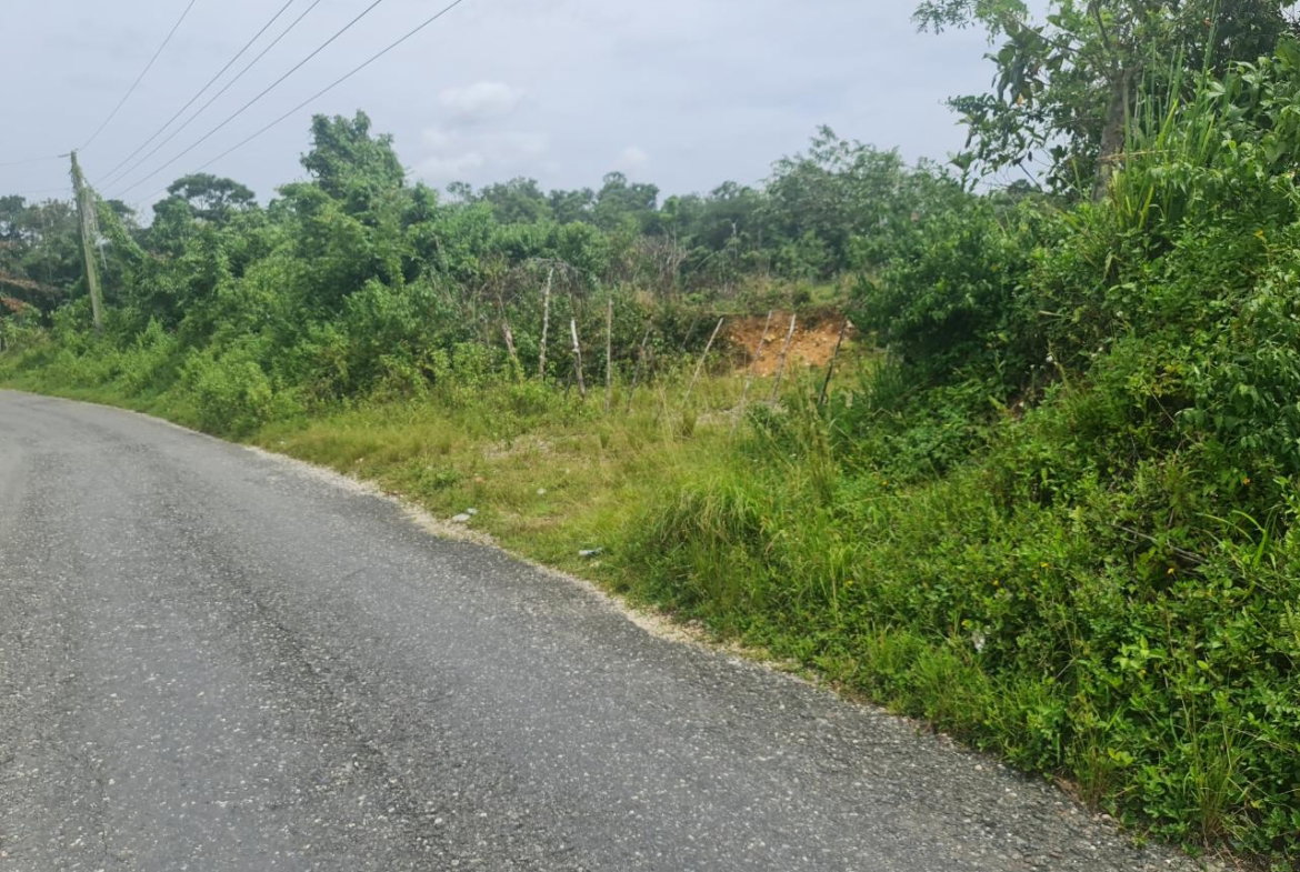 Twentieth image of Windsor Forrest in Darliston, Westmoreland, Jamaica - property is For Sale