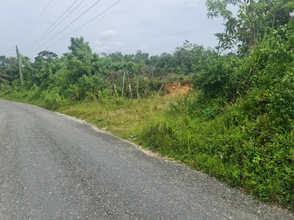 Twentieth image of Windsor Forrest in Darliston, Westmoreland, Jamaica - property is For Sale