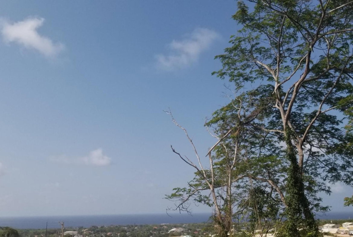 Twenty-First image of Lot 209 Camelot Village, Phase 4 in Discovery Bay, St. Ann, Jamaica - property is For Sale