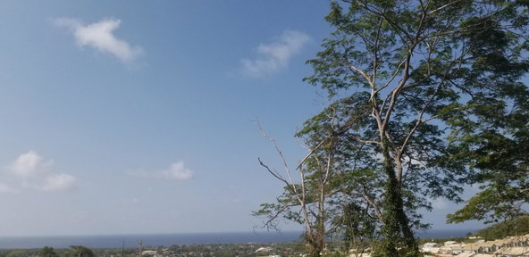 Twenty-First image of Lot 209 Camelot Village, Phase 4 in Discovery Bay, St. Ann, Jamaica - property is For Sale