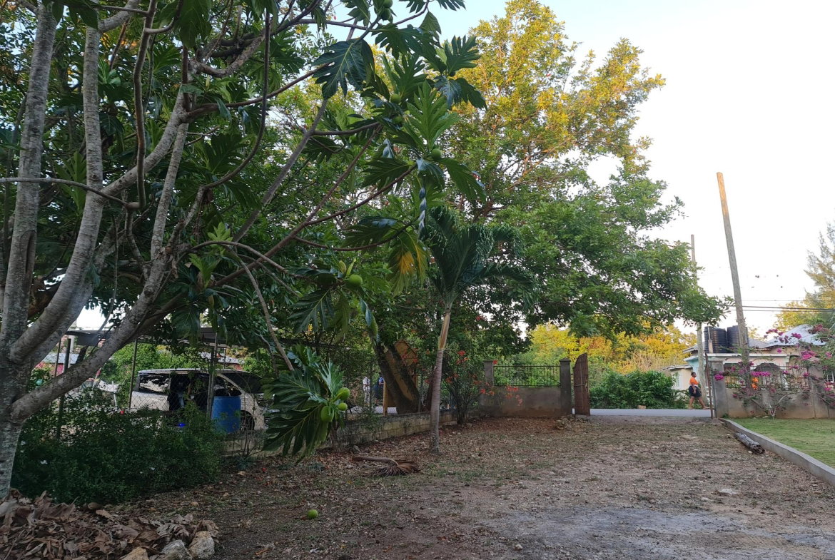 Nineteenth image of Little London in Little London, Westmoreland, Jamaica - property is For Sale