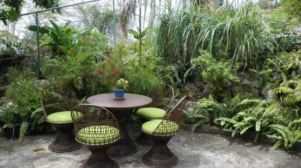 Fifteenth image of 24 Bridgemount Heights, King in Kingston 8, St. Andrew, Jamaica - property is For Rent