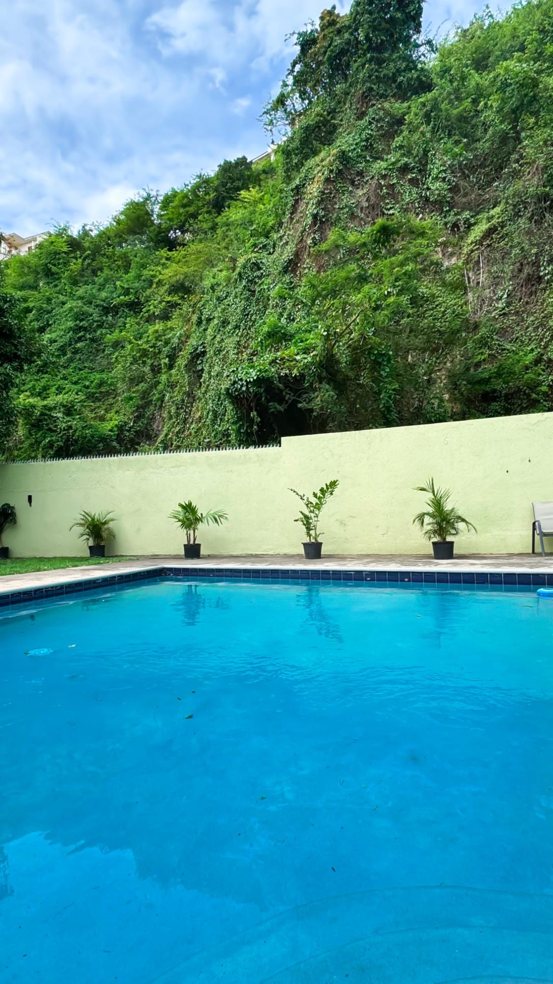 Ninth image of 22-96 1/2 Old Hope Road in Kingston 6, St. Andrew, Jamaica - property is For Rent