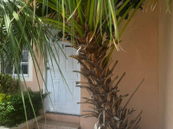 First image of 1-824 Mahogany Way, Cedar Grove in Cedar Grove Estate, St. Catherine, Jamaica - property is For Sale