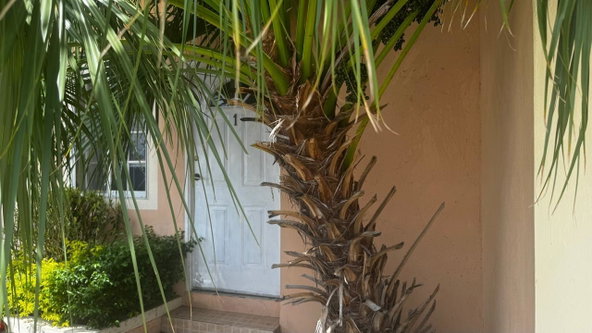 First image of 1-824 Mahogany Way, Cedar Grove in Cedar Grove Estate, St. Catherine, Jamaica - property is For Sale