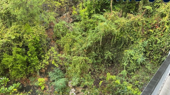 Nineteenth image of Apt. 29-96b Old Hope Road, Crystal to in Kingston 6, St. Andrew, Jamaica - property is For Sale