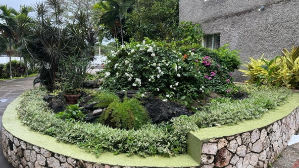 Ninth image of Apt. 29-96b Old Hope Road, Crystal to in Kingston 6, St. Andrew, Jamaica - property is For Sale