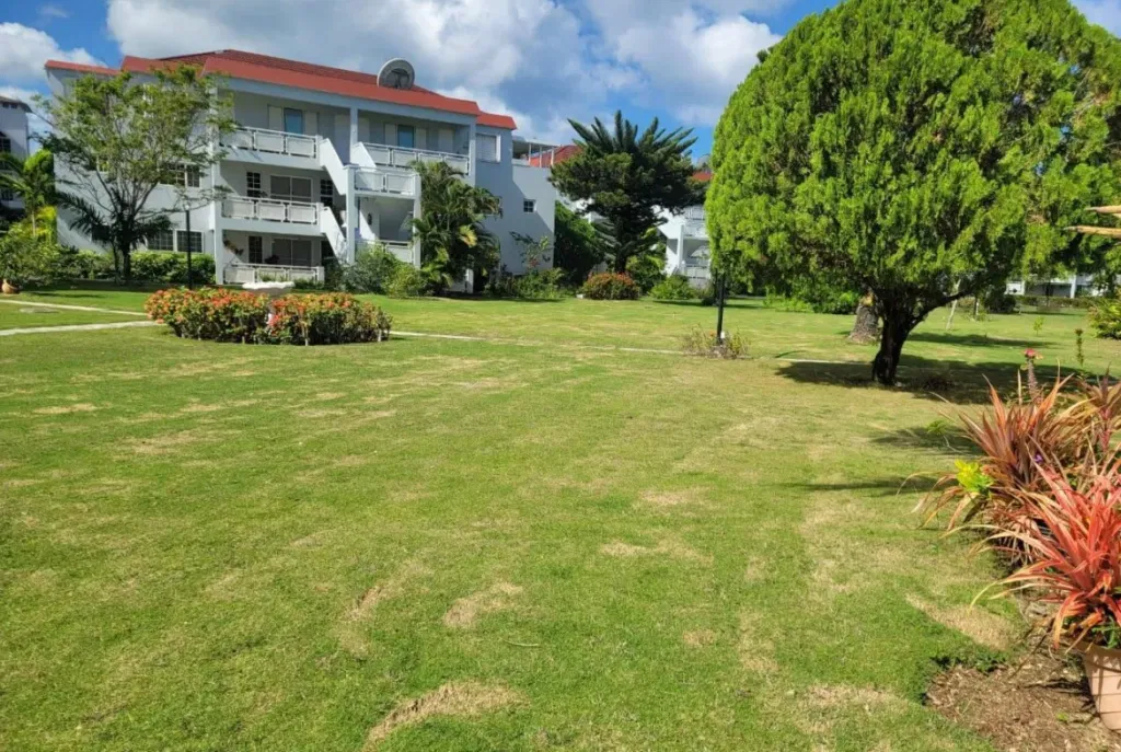 buying dream house in jamaica