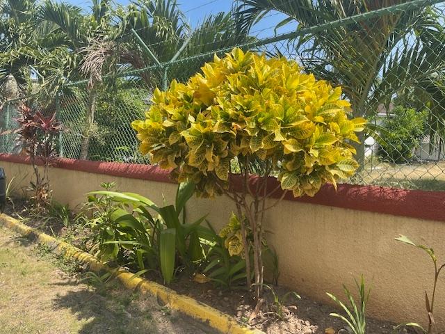 Second image of A1-18 Kensington Cres in Kingston 5, St. Andrew, Jamaica - property is For Sale