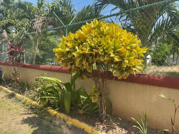 Second image of A1-18 Kensington Cres in Kingston 5, St. Andrew, Jamaica - property is For Sale