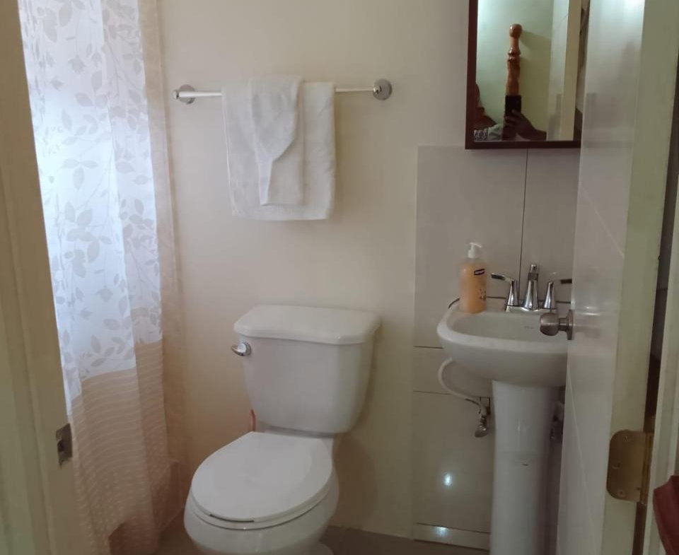 Eighth image of 165 Palm Avenue in Falmouth, Trelawny, Jamaica - property is For Rent