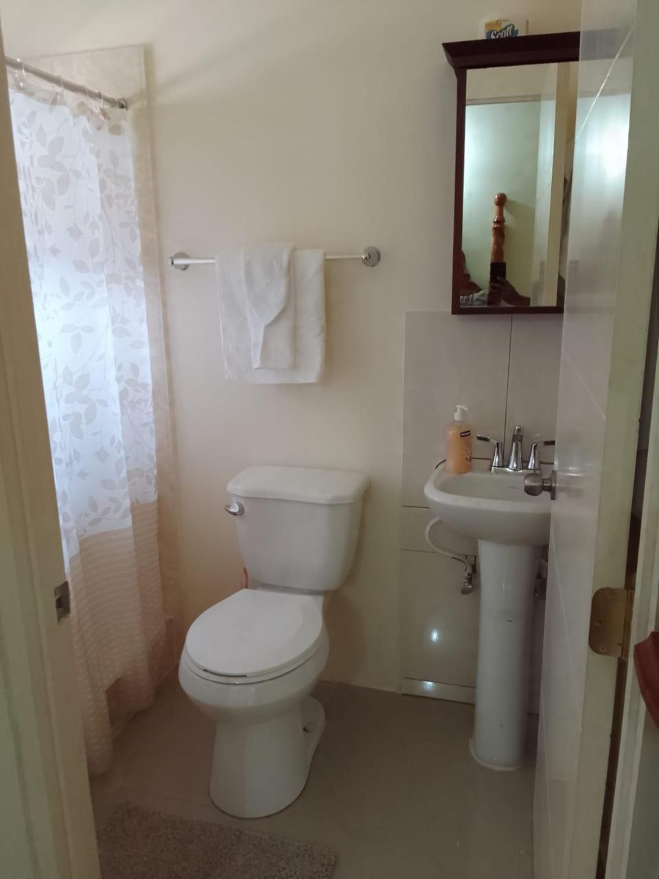 Eighth image of 165 Palm Avenue in Falmouth, Trelawny, Jamaica - property is For Rent