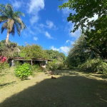 First image of Nonsuch , Portland in Port Antonio, Portland, Jamaica - property is For Sale