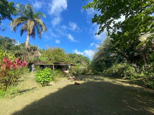 First image of Nonsuch , Portland in Port Antonio, Portland, Jamaica - property is For Sale