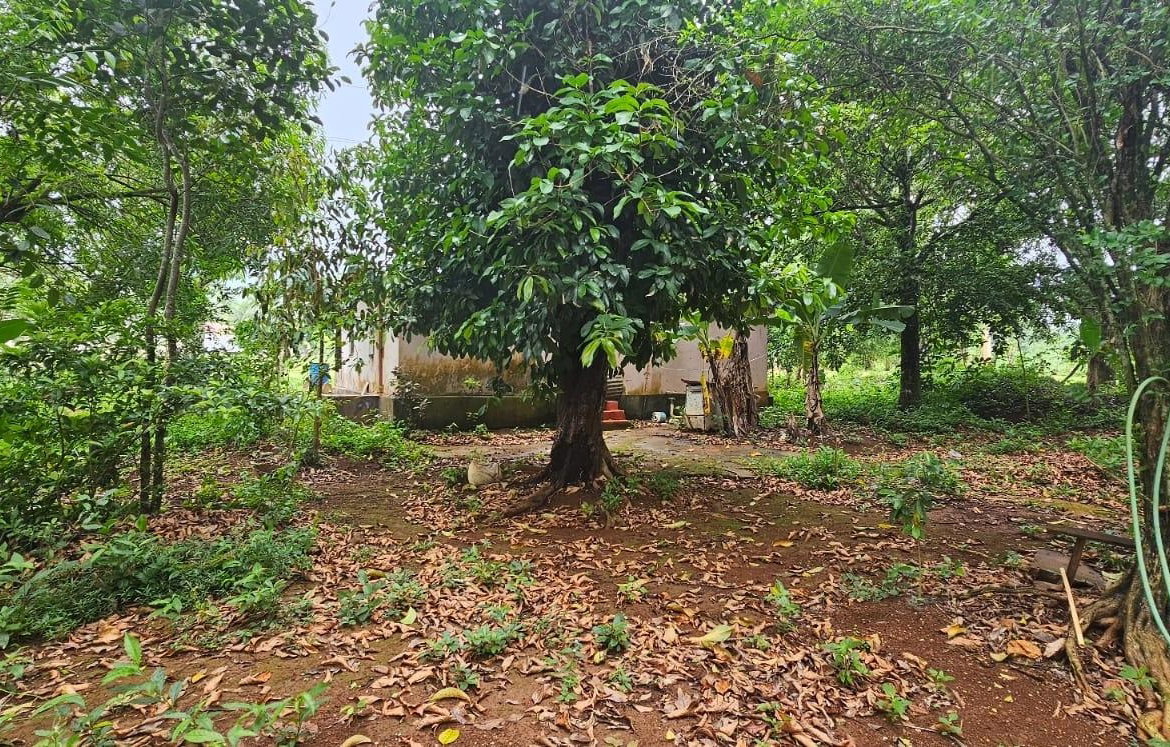 Eleventh image of Park, Santa Cruz in Santa Cruz, St. Elizabeth, Jamaica - property is For Sale