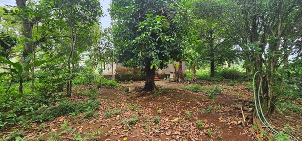 Eleventh image of Park, Santa Cruz in Santa Cruz, St. Elizabeth, Jamaica - property is For Sale