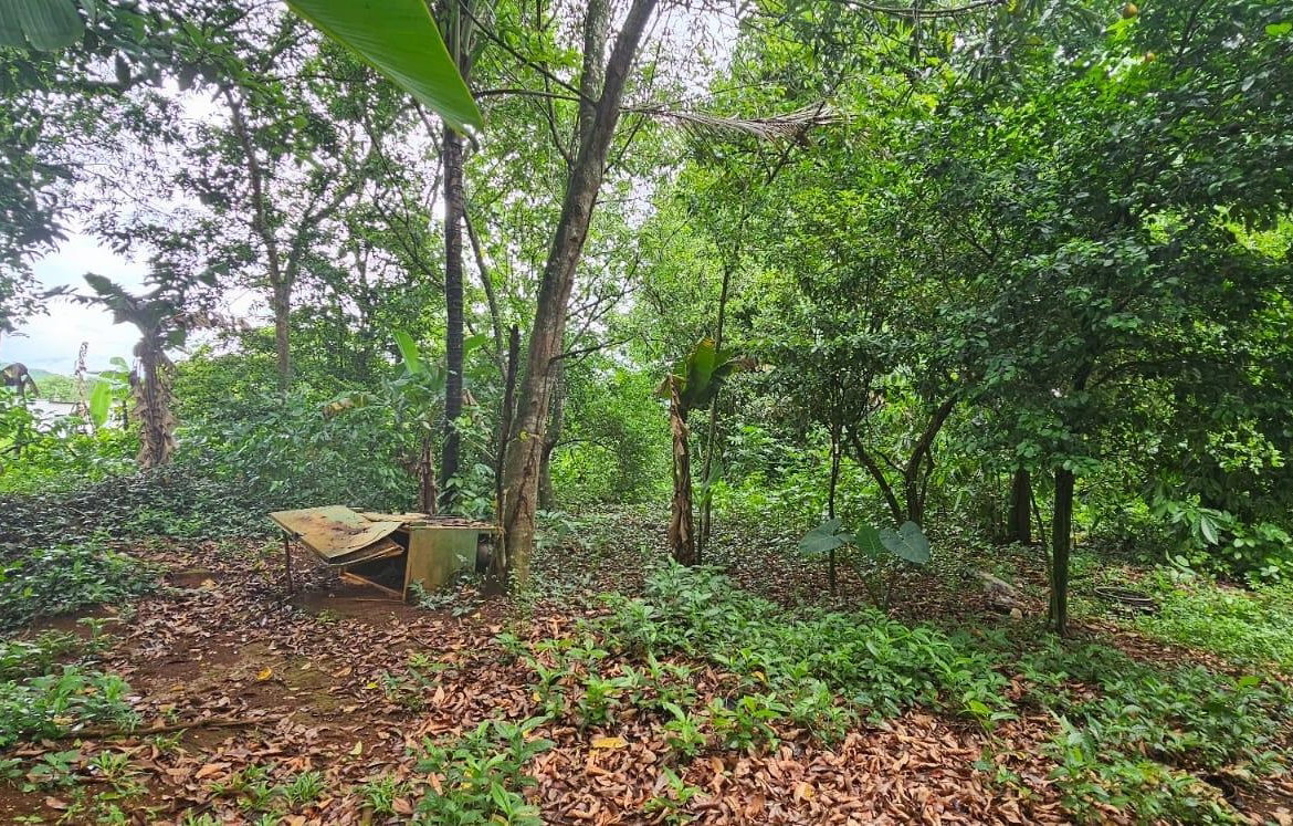 Thirteenth image of Park, Santa Cruz in Santa Cruz, St. Elizabeth, Jamaica - property is For Sale