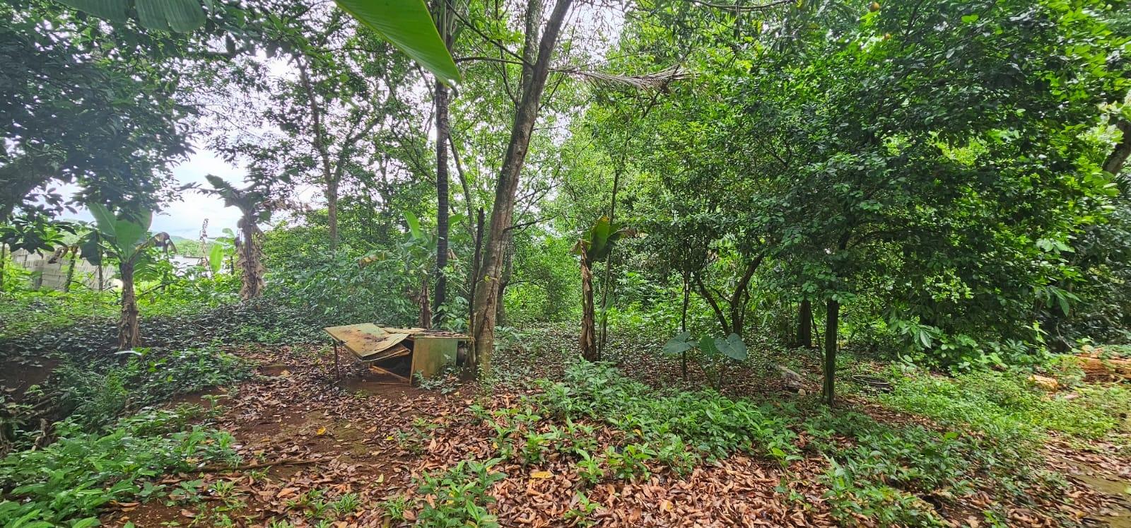 Charming-2-Bedroom-Farmhouse-on-1.847-Acres-in-Santa-Cruz-Jamaica Thirteenth image of Park, Santa Cruz in Santa Cruz, St. Elizabeth, Jamaica - property is For Sale