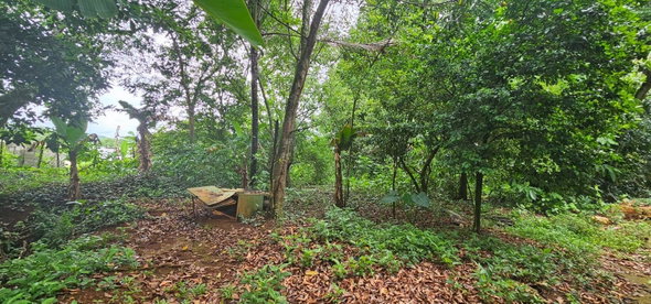 Thirteenth image of Park, Santa Cruz in Santa Cruz, St. Elizabeth, Jamaica - property is For Sale