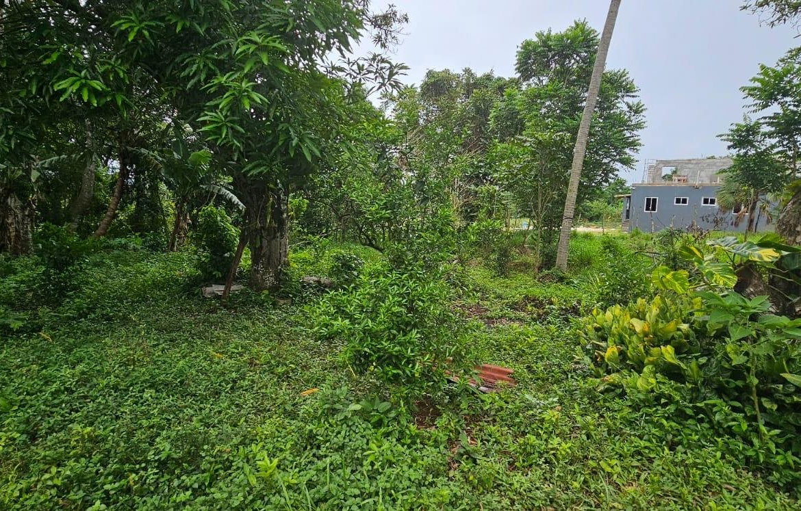 Fifteenth image of Park, Santa Cruz in Santa Cruz, St. Elizabeth, Jamaica - property is For Sale