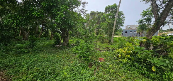 Fifteenth image of Park, Santa Cruz in Santa Cruz, St. Elizabeth, Jamaica - property is For Sale