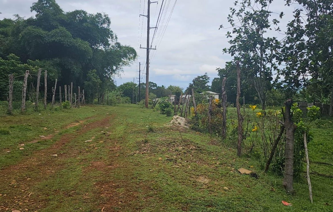 Nineteenth image of Park, Santa Cruz in Santa Cruz, St. Elizabeth, Jamaica - property is For Sale