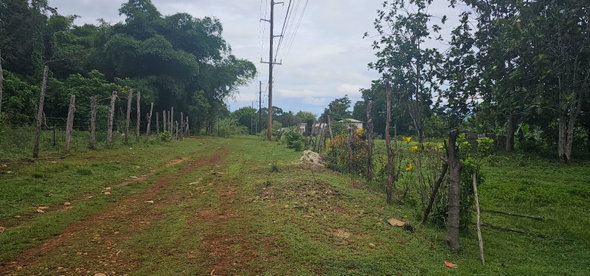 Nineteenth image of Park, Santa Cruz in Santa Cruz, St. Elizabeth, Jamaica - property is For Sale