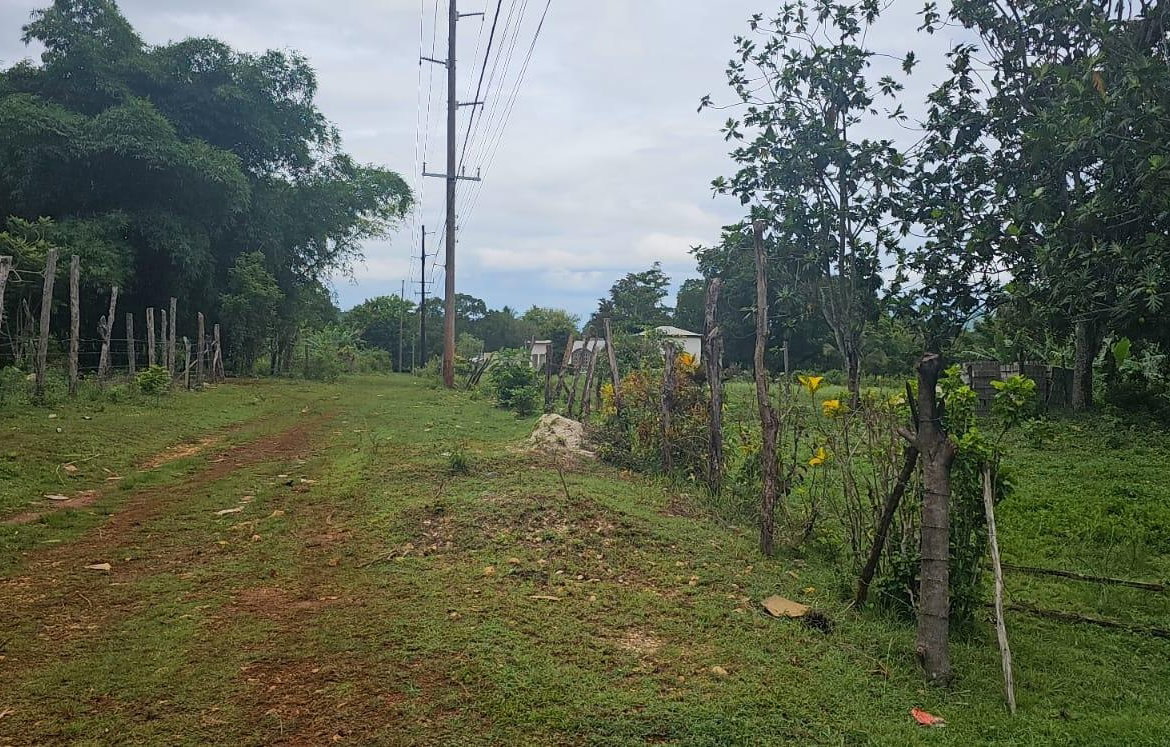 Twentieth image of Park, Santa Cruz in Santa Cruz, St. Elizabeth, Jamaica - property is For Sale