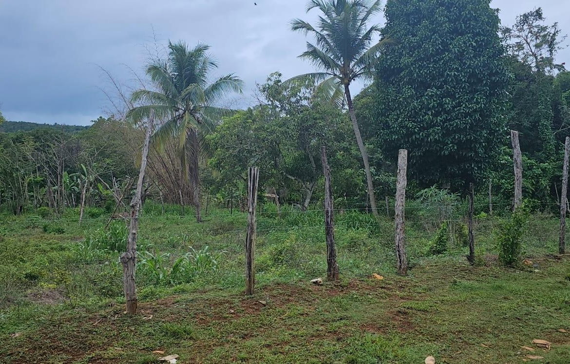 Twenty-Second image of Park, Santa Cruz in Santa Cruz, St. Elizabeth, Jamaica - property is For Sale