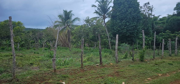 Twenty-Second image of Park, Santa Cruz in Santa Cruz, St. Elizabeth, Jamaica - property is For Sale