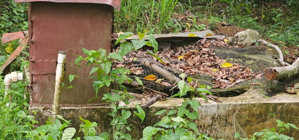 Fifth image of Park, Santa Cruz in Santa Cruz, St. Elizabeth, Jamaica - property is For Sale