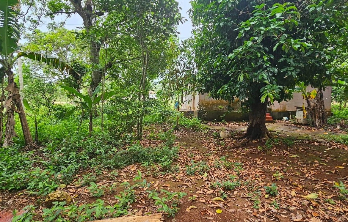 Tenth image of Park, Santa Cruz in Santa Cruz, St. Elizabeth, Jamaica - property is For Sale