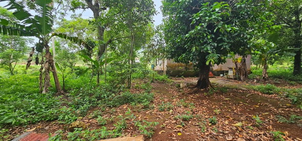 Tenth image of Park, Santa Cruz in Santa Cruz, St. Elizabeth, Jamaica - property is For Sale