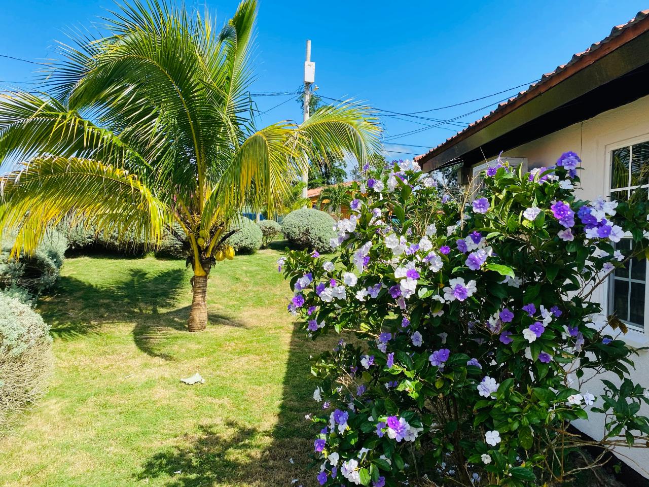 Tenth image of 442 Meadows of Irwin in Montego Bay, St. James, Jamaica - property is For Rent