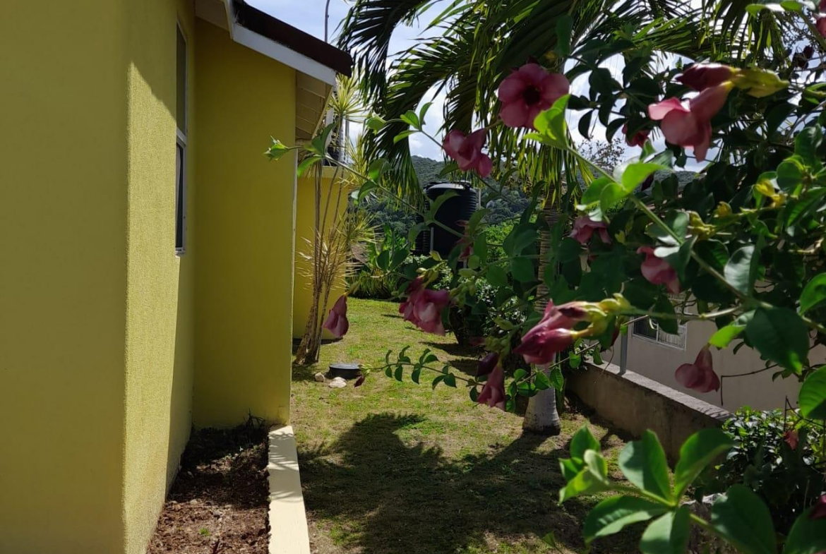 Fourth image of 625 Rhyne Park Village in Rose Hall, St. James, Jamaica - property is For Rent