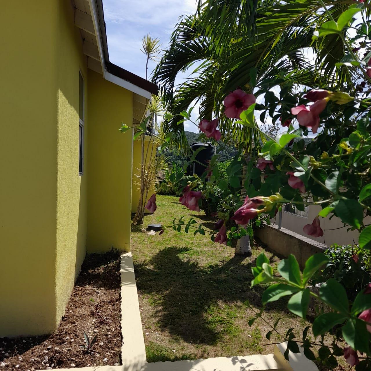Fourth image of 625 Rhyne Park Village in Rose Hall, St. James, Jamaica - property is For Rent