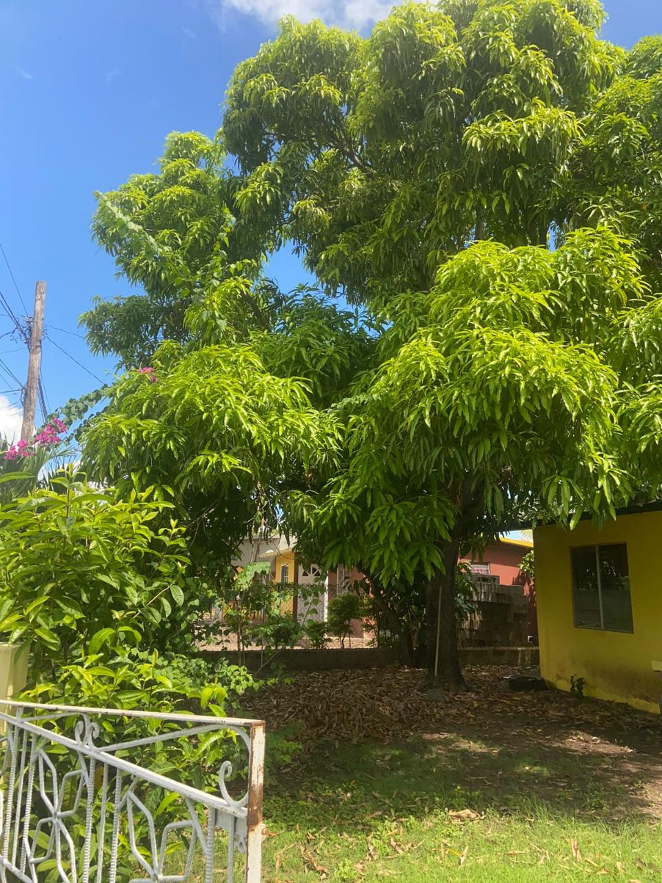 Fourth image of 107 Ponciana Mews Lionel Town in Lionel Town, Clarendon, Jamaica - property is For Sale