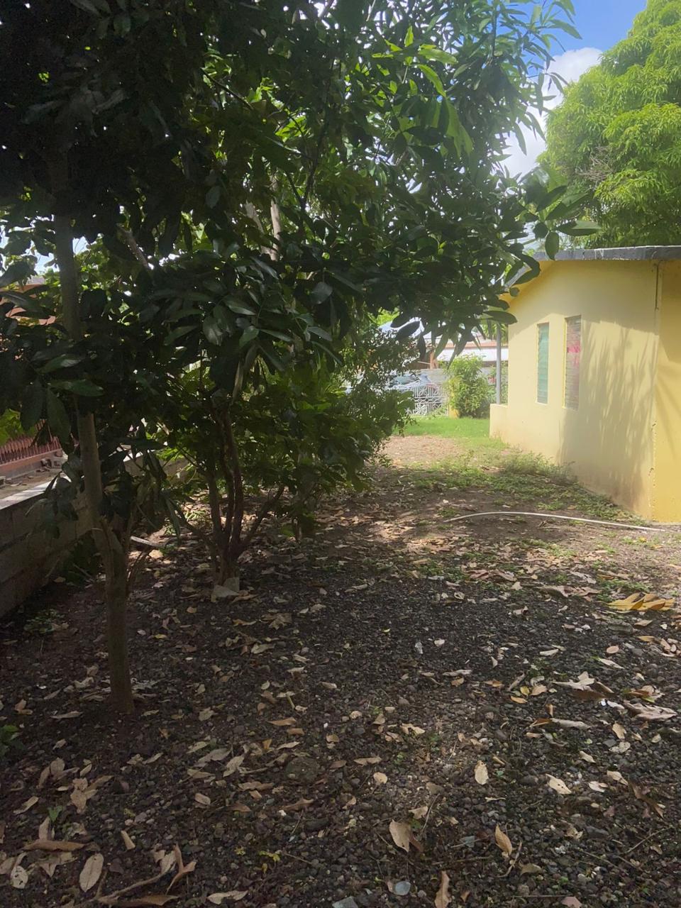 Seventh image of 107 Ponciana Mews Lionel Town in Lionel Town, Clarendon, Jamaica - property is For Sale